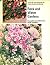Rock and water gardens, (His Your garden in colour series)