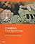 Climbing from Gym to Crag: Building Skills for Real Rock by S.Peter Lewis (16-Oct-2000) Paperback