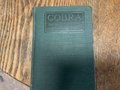 Cobra, a Novelization of the Famous Stage Success By Martin Brown, Illustrated with Scenes from the Photoplay, a Ritz-Paramount Picture Starring Rudolph Valentino