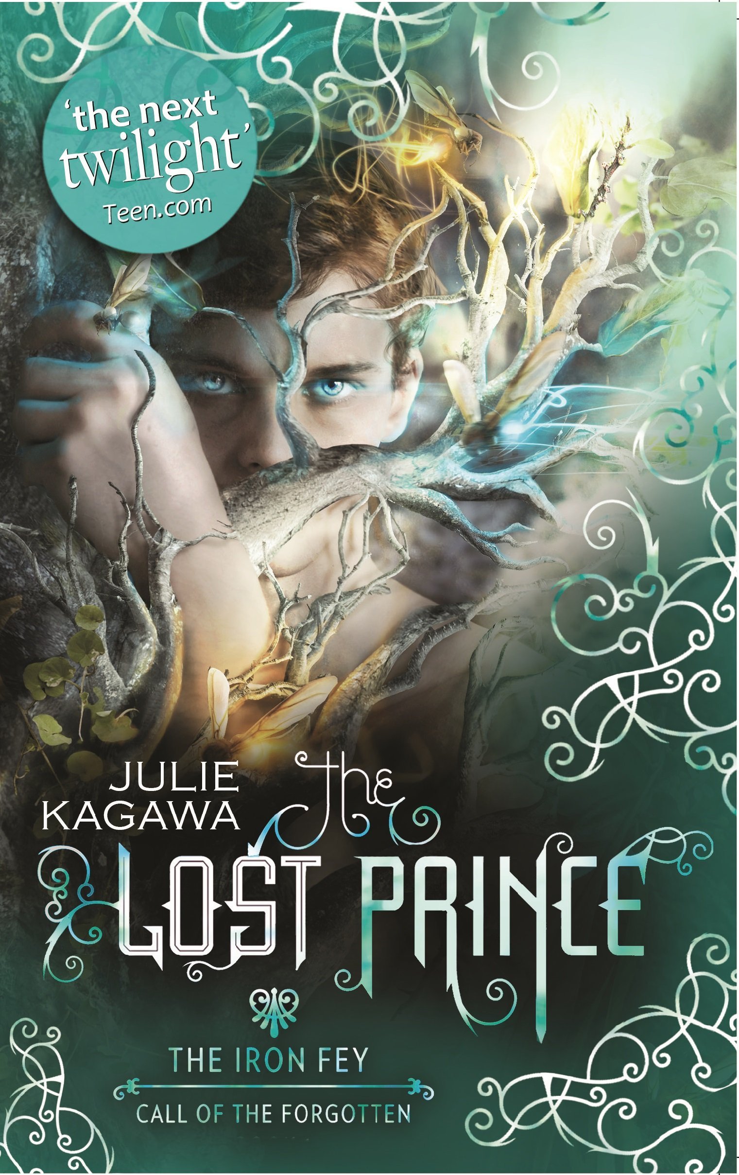 The Lost Prince (The Iron Fey) by Julie Kagawa (4-Jan-2013) Paperback