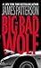 The Big Bad Wolf by Patterson, James [Grand Central Publishin... by James  Patterson