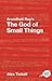 Arundhati Roy's The God of Small Things by Alex Tickell