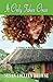 It Only Takes Once (A Village of Ballydara Novel) (Volume 1) by Susan Colleen Browne (2013-04-23)