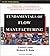 Fundamentals of Flow Manufacturing by Gerard Leone (2002-07-02)
