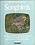 Songbirds - Wild, Wild Worl...