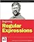 Beginning Regular Expressions (Programmer to Programmer) 1st (first) edition Text Only