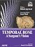 Temporal Bone: A Surgeon's ...