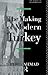 The Making of Modern Turkey (Making of the Middle East) by Ahmad Feroz (1993-04-29)