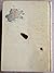 The Settlement Cook Book: The Way to a Man's Heart - Tested Recipes from the Settlement Cooking Classes...Twenty-Second Edition, Enlarged and Revised