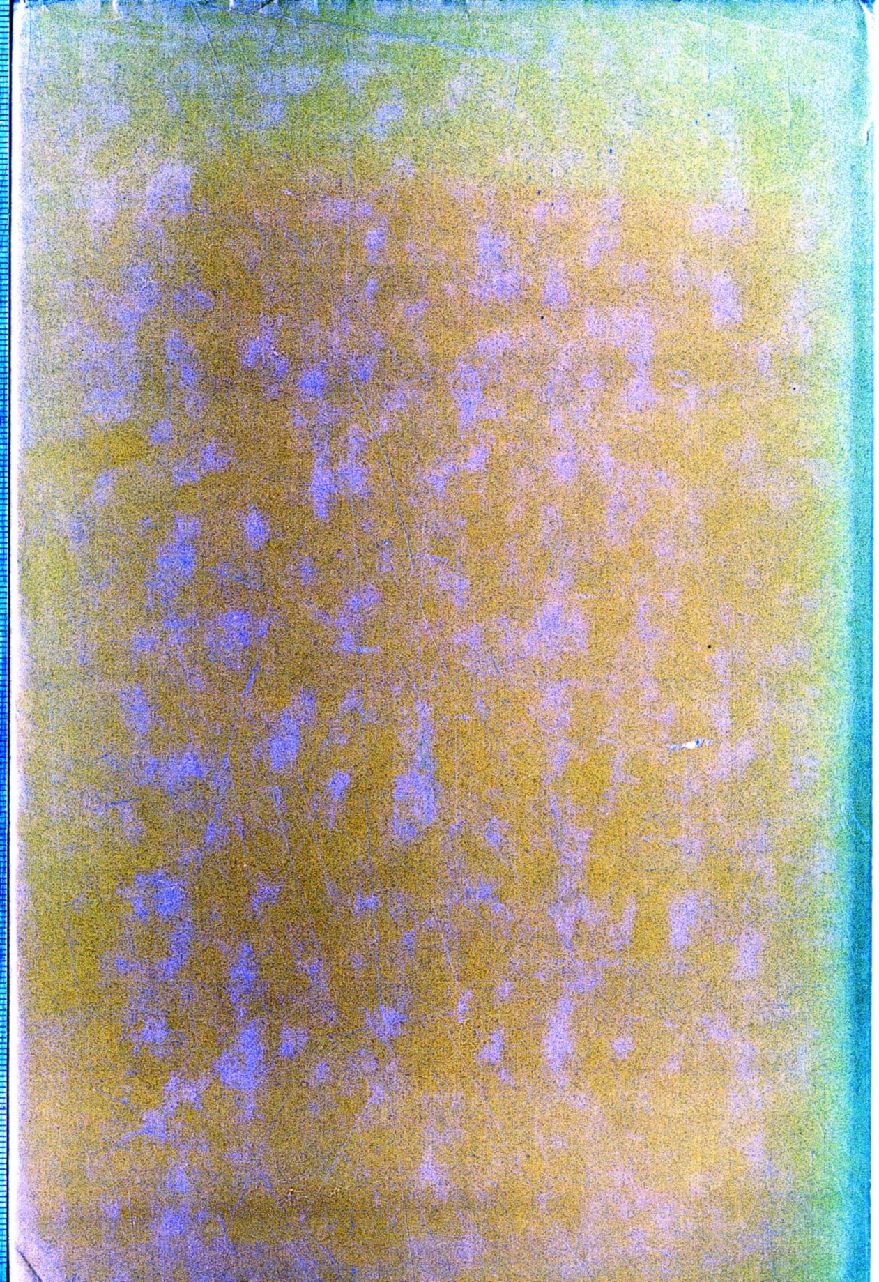 Figures of life and death in medieval English literature (Hardcover)