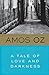 A TALE OF LOVE AND DARKNESS by Amos Oz