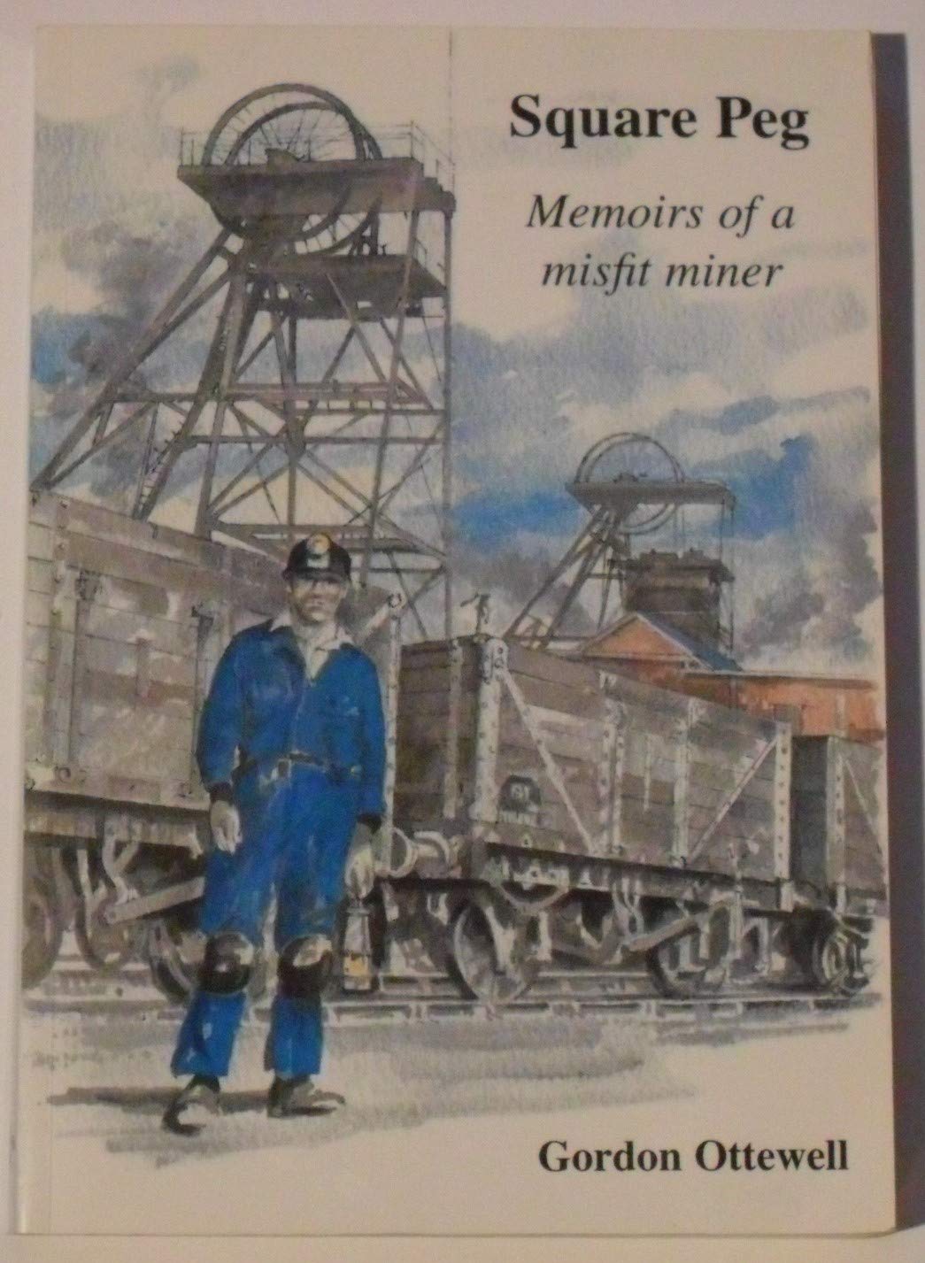 Square peg: memoirs of a misfit miner (Paperback)
