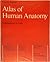 Atlas of Human Anatomy: v. 2