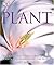 Plant by Janet Marinelli (2...