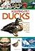 Keeping Pet Ducks by Liz Wright (2010-03-31)