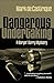 Dangerous Undertaking: A Buryin' Barry Mystery (Buryin' Barry Series) by Mark de Castrique (2006-02-01)