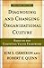 by Robert E. Quinn,by Kim S. Cameron Diagnosing and Changing Organizational Culture: Based on the Competing Values Framework (The Jossey-Bass Business & Management Series)(text only)[Paperback]2005