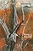 Song of Myself (Vintage Classics) by Walt Whitman (2015-08-06)