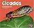 Cicadas (Bugs Bugs Bugs)