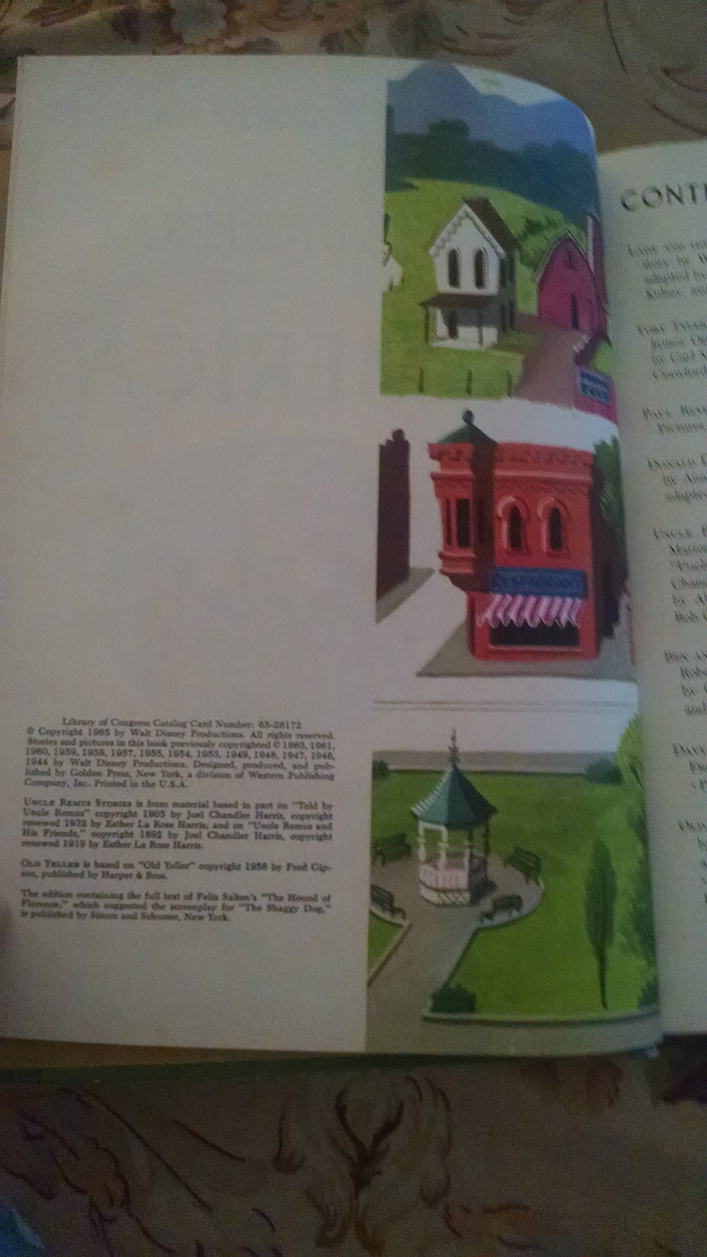 The Wonderful World of Walt Disney's America (Hardcover)