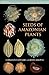 Seeds of Amazonian Plants (Princeton Field Guides) by Fernando Cornejo (2010-07-26)