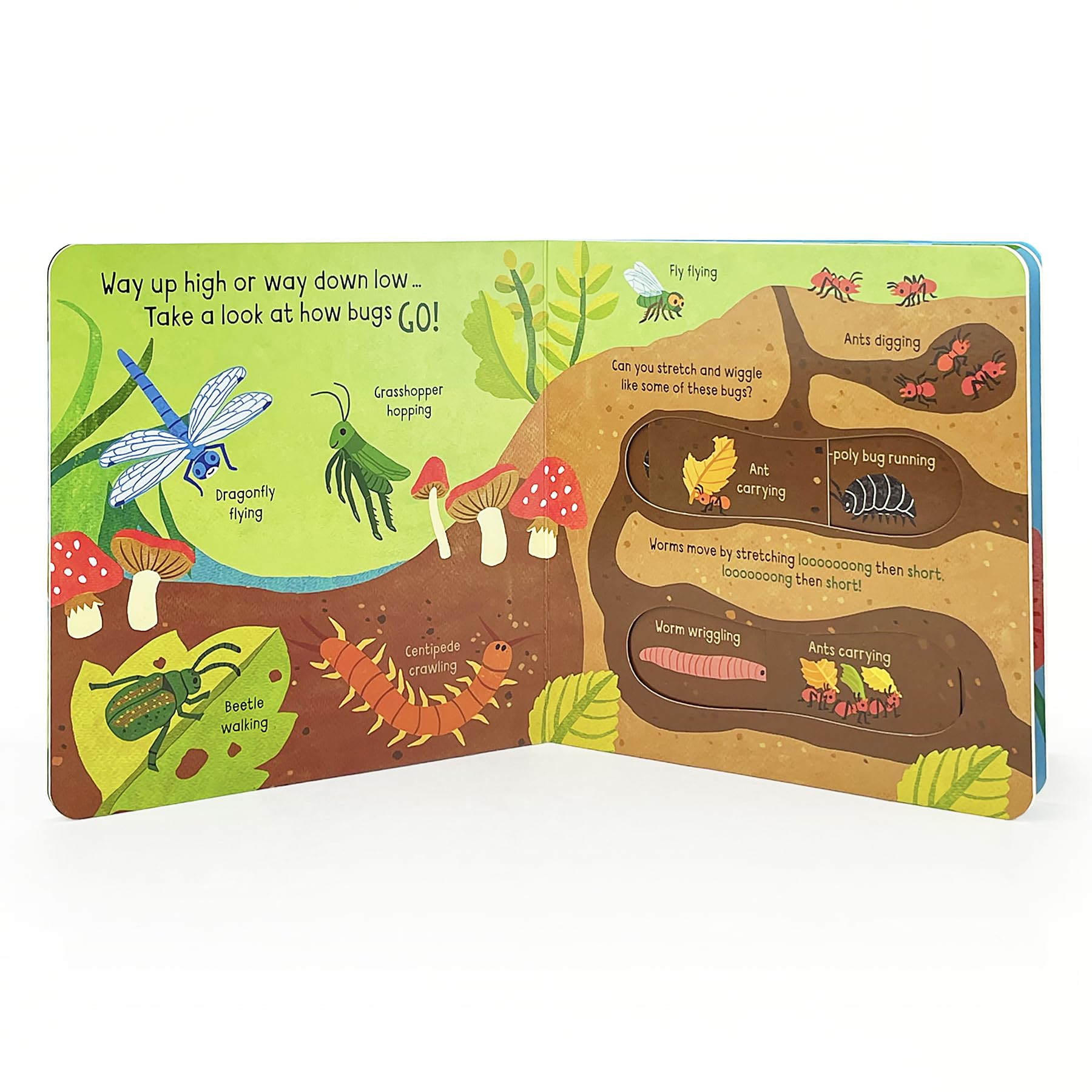 Little Wonders BUGS - Introduction to the World of Bugs Multi-Activity Children's Board Book Including Flaps, Wheels, Tabs, and More (Board Book)