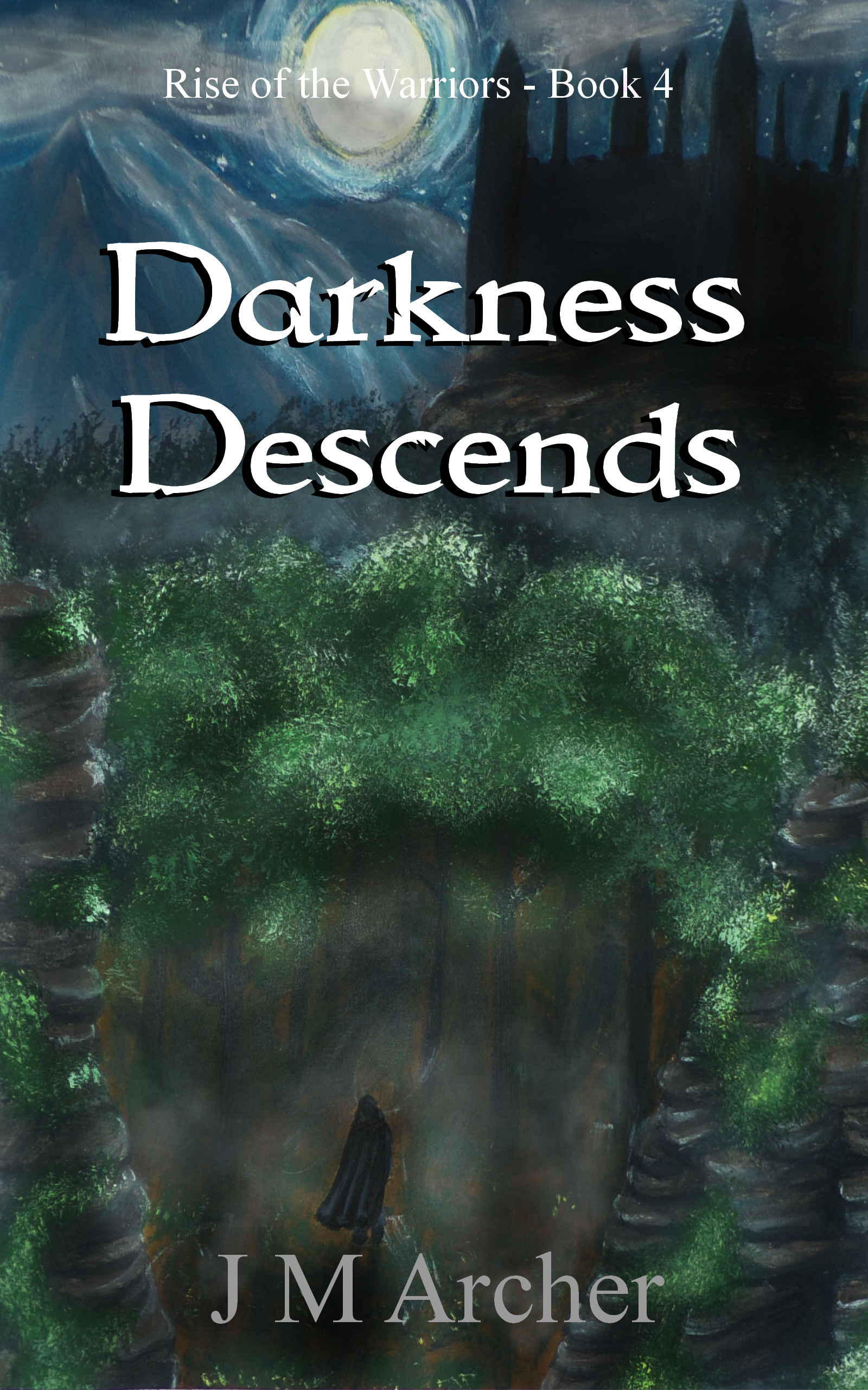 Darkness Descends (Rise of the Warriors #4)
