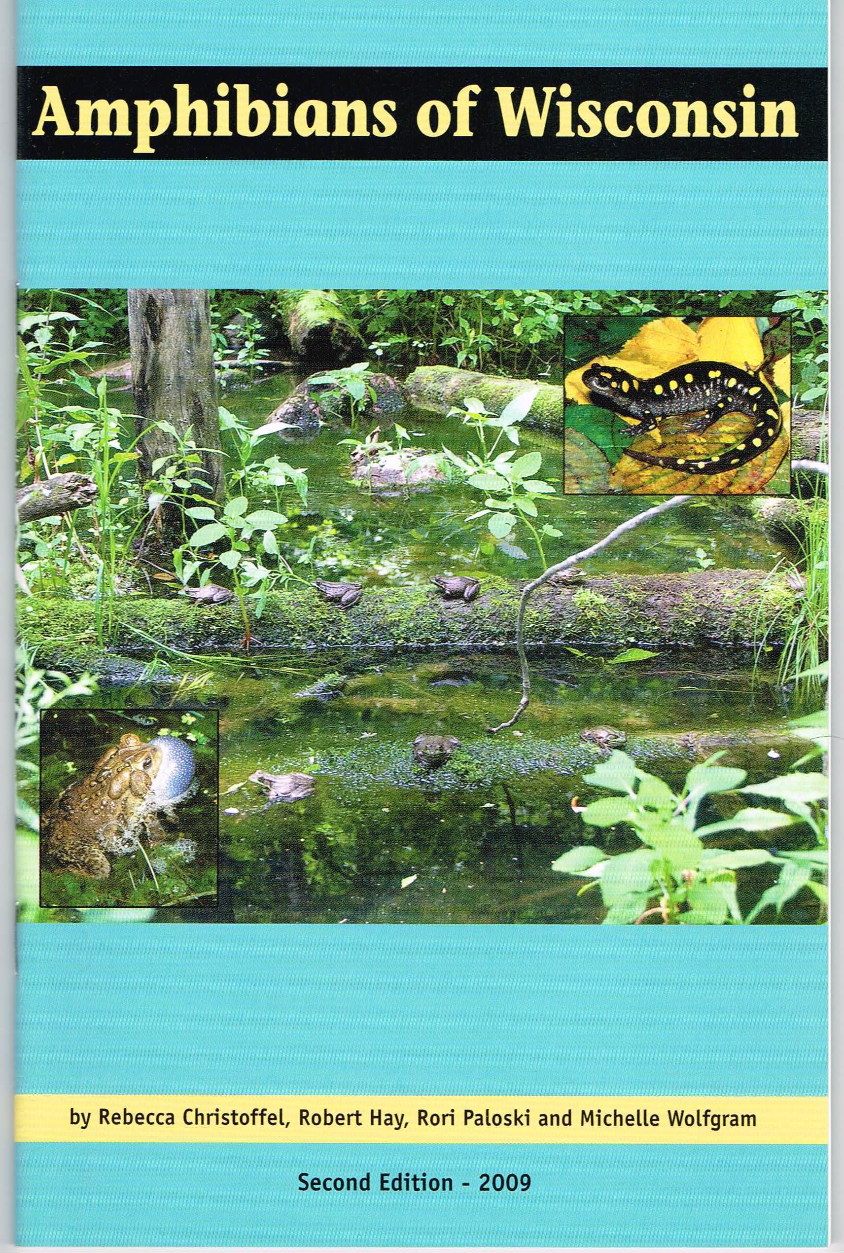 Amphibians of Wisconsin (Paperback)
