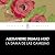La dama de las Camelias [The Lady of the Camellias] by Alexandre Dumas fils
