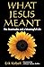 What Jesus Meant by KOLBELL (8-Feb-2007) Paperback by Erik Kolbell