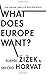 What Does Europe Want?: The Union and Its Discontents (Insurrections: Critical Studies in Religion, Politics, and C) by Slavoj Zizek (2015-01-05)
