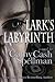 Lark's Labyrinth by MS Cathy Cash Spellman (2011-06-21)