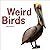 Weird Birds by Chris Earley (2014-09-11)