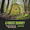 A Forest Journey:...