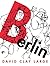 Berlin by Large, David Clay (2001) Paperback by David Clay Large