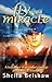 Fly With a Miracle by Sheila Belshaw (2001-10-01)