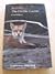 Red Fox by J. David Henry