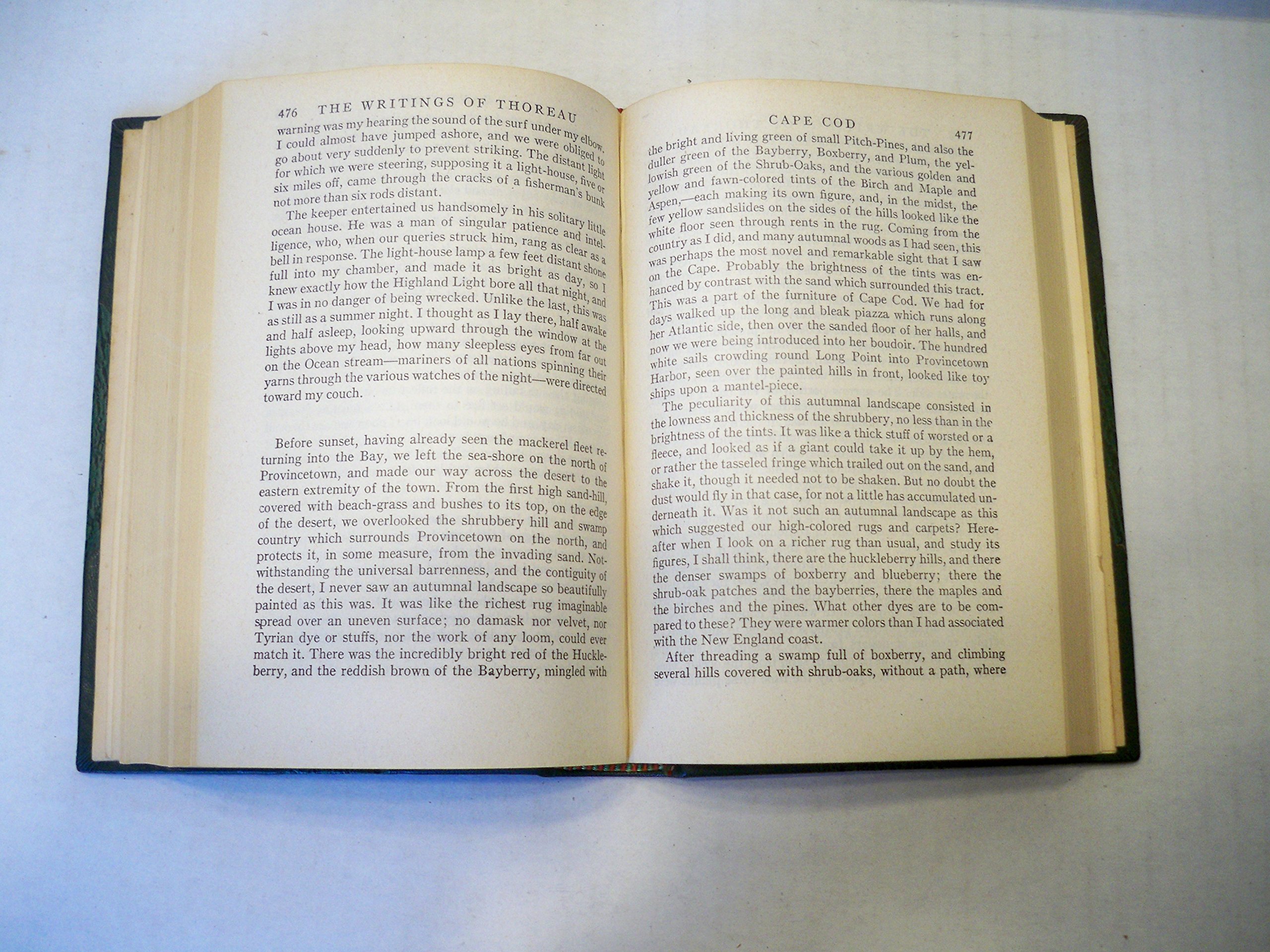 Walden and Other Writings