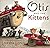 Otis and The Kittens by Loren Long (2016-09-20)