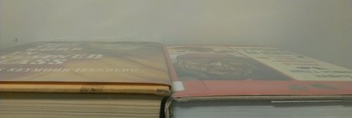 2 Volumes of Isenberg Glass Books: How to Work in Stained Glass & Grafting in Glass- Molding Fusing Embellishing Designing (Hardcover)
