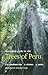 Illustrated Guide to the Trees of Peru