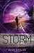 Storm (Swipe, #3)