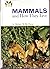 Mammals and How They Live