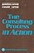 Consulting process in actio...