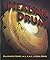 The Healing Drum [Paperback] [1996] (Author) Blackwolf Jones, Gina Jones