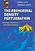 The Primordial Density Perturbation: Cosmology, Inflation and the Origin of Structure by David H. Lyth (2009-06-30)