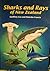 Sharks and rays of New Zealand