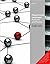 Programming Languages: Principles and Practices by Louden - International Economy Edition