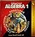 McDougal Littell Algebra 1 California Teacher's Edition (Equations, Applications, and Graphs)
