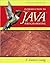 Introduction to Java Programming, Brief (text only) 8 edition by Y.D.Liang